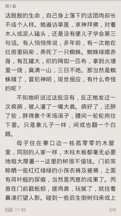 持有13A签证可以在菲律宾工作吗？用不用办理9G工签？